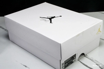 Air FV7251-107 Jordan 4 0805